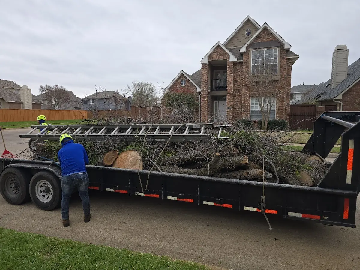 Expert Tree Fertilization with proper safety equipment in Assonet